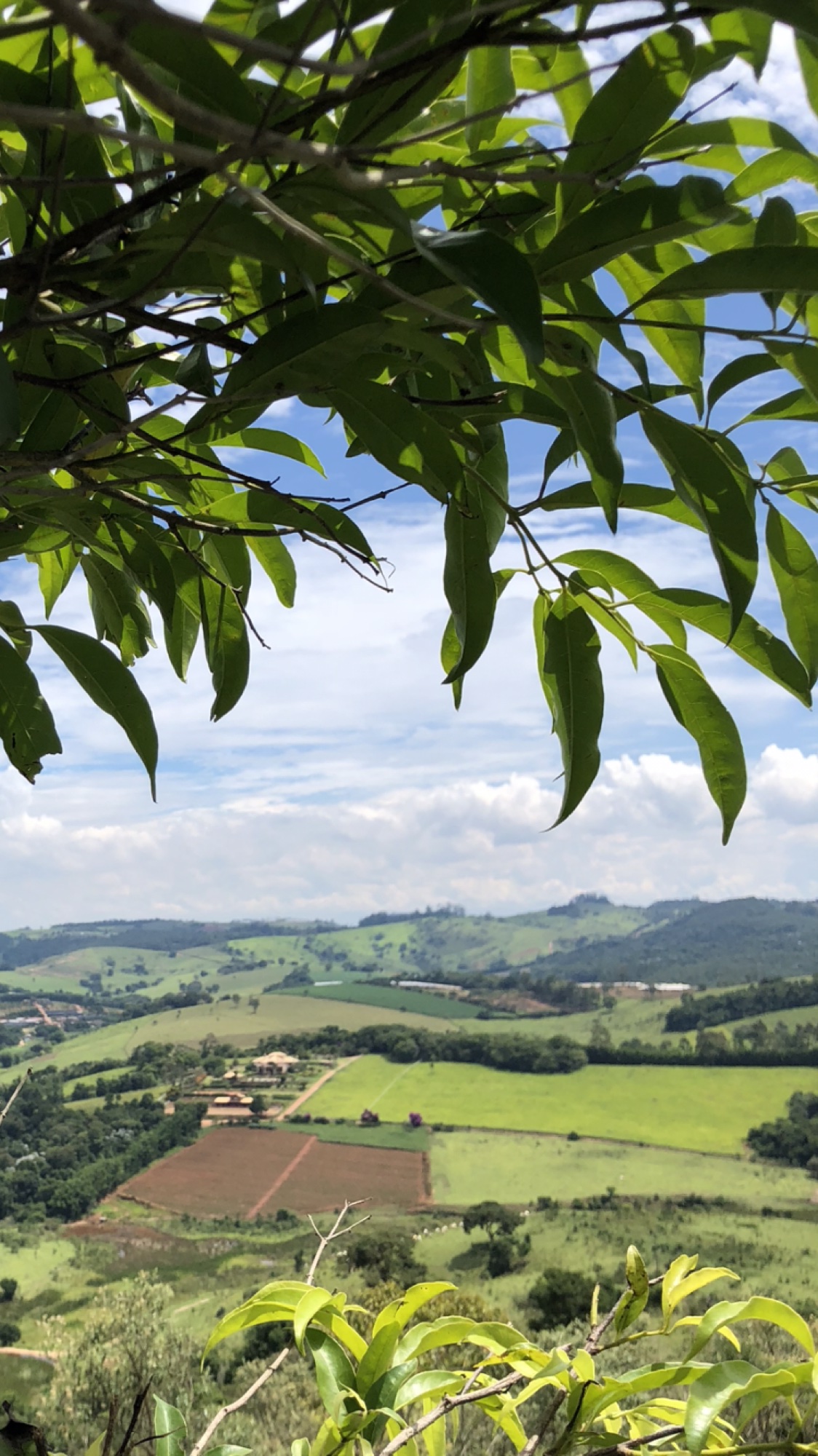 Fazenda Villa Realli